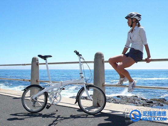 图为Dahon(大行)品牌自行车 图为Dahon(大行)品牌自行车